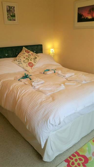 לינה וארוחת בוקר Saint Tudy Horsna Parc Retreat מראה חיצוני תמונה