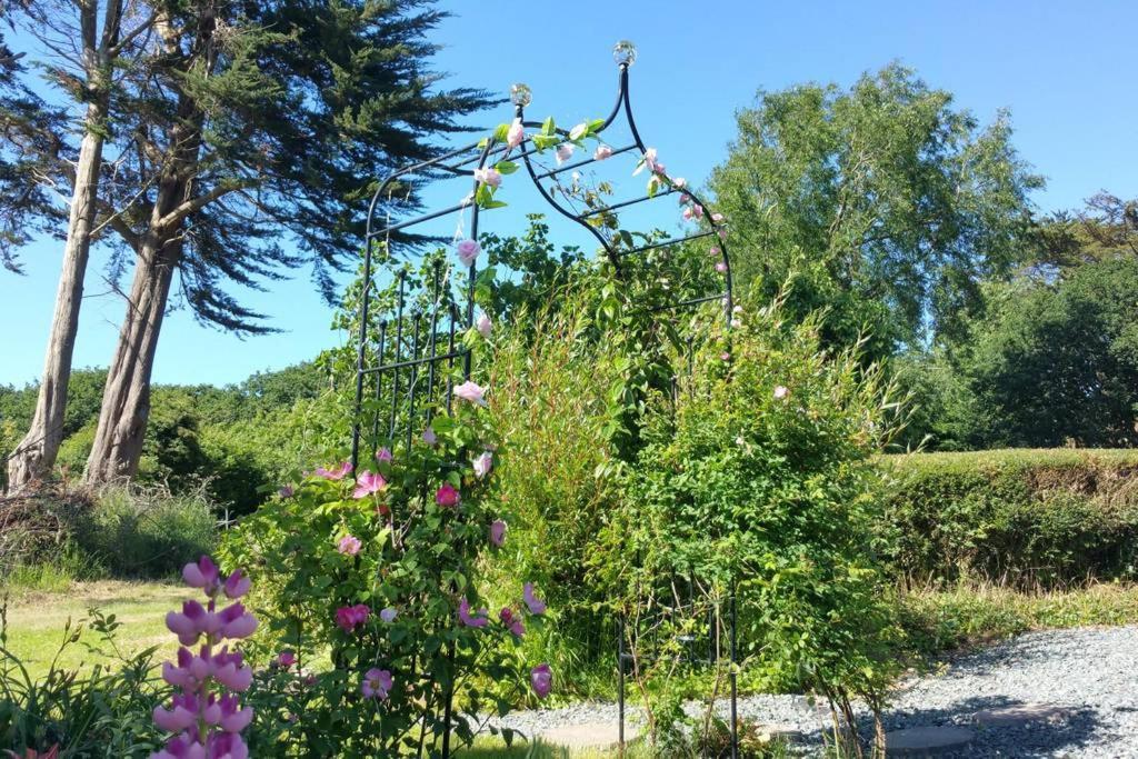 לינה וארוחת בוקר Saint Tudy Horsna Parc Retreat מראה חיצוני תמונה